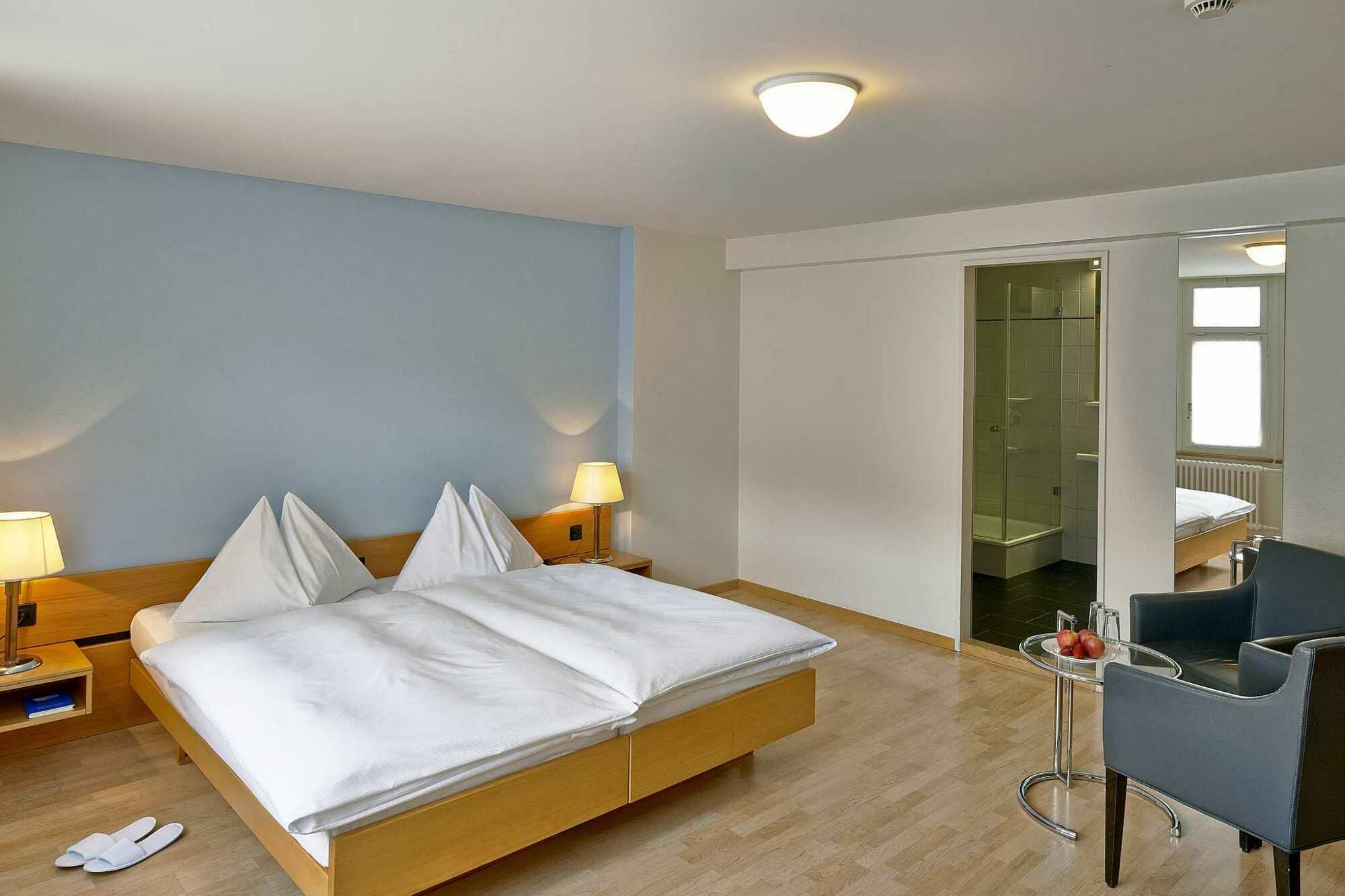Hotel Boutique Krone Winterthur